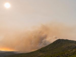 Συγκέντρωση φαρμάκων για τους πυρόπληκτους